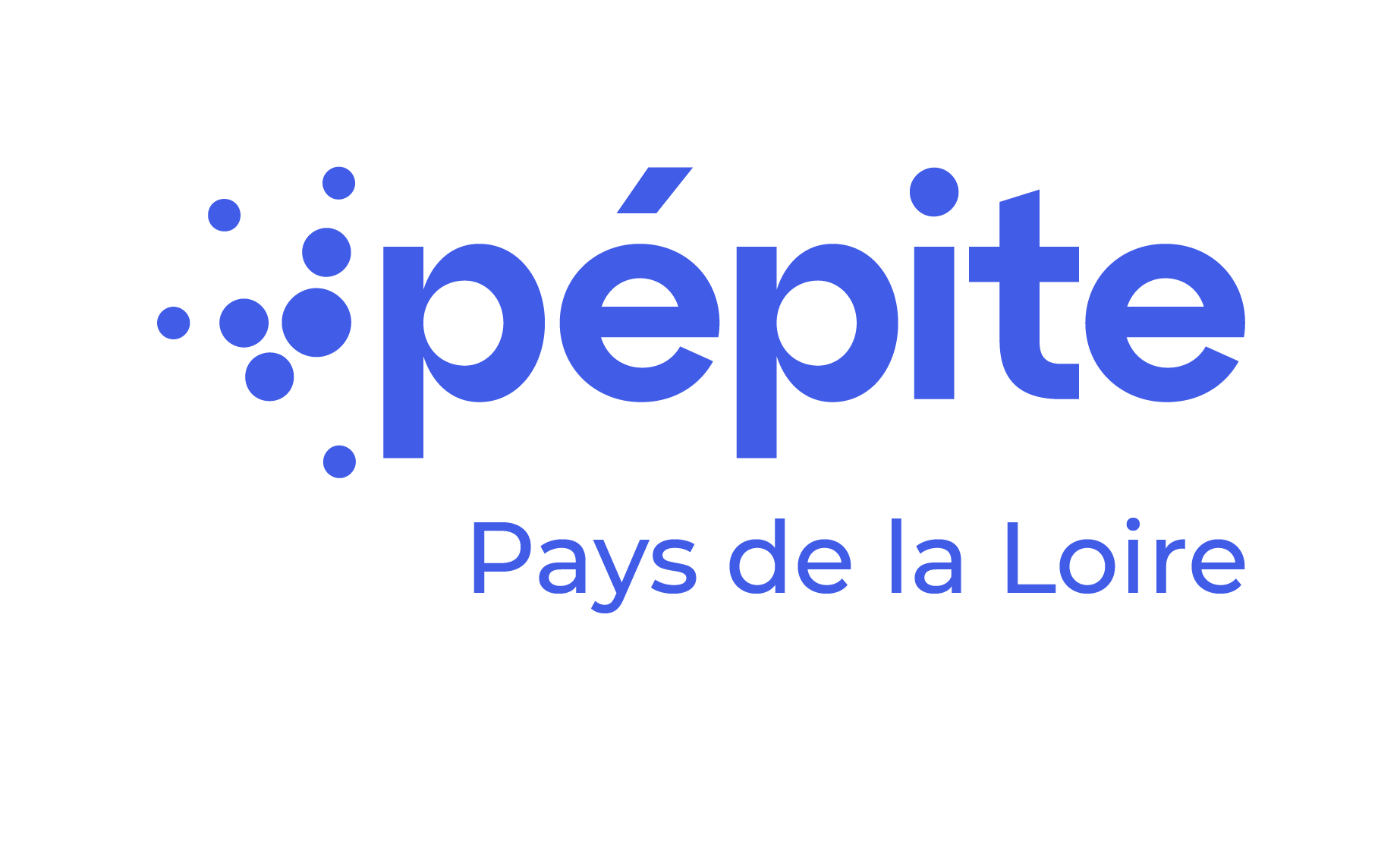 Pépite des Pays de la Loire